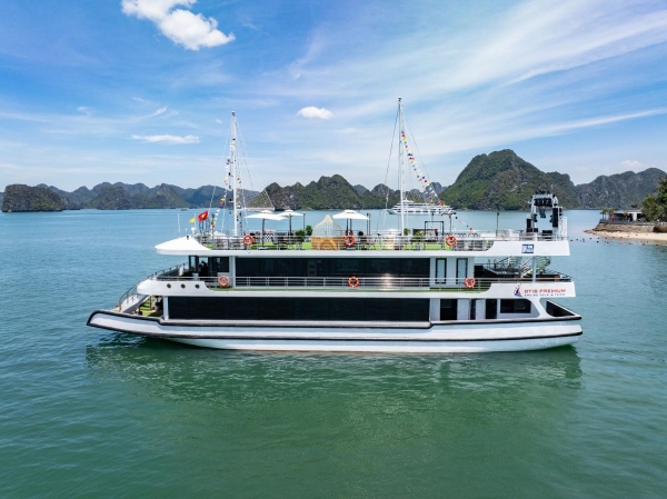 Otis Premium Cruise