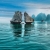 HALONG 1 DAY AMAZING ROUTE - TITOP